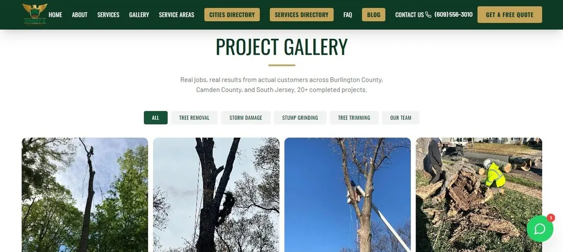 Project Gallery de Jimmy’s Tree Experts con trabajos de trepa, poda y retiro de tocón en South Jersey